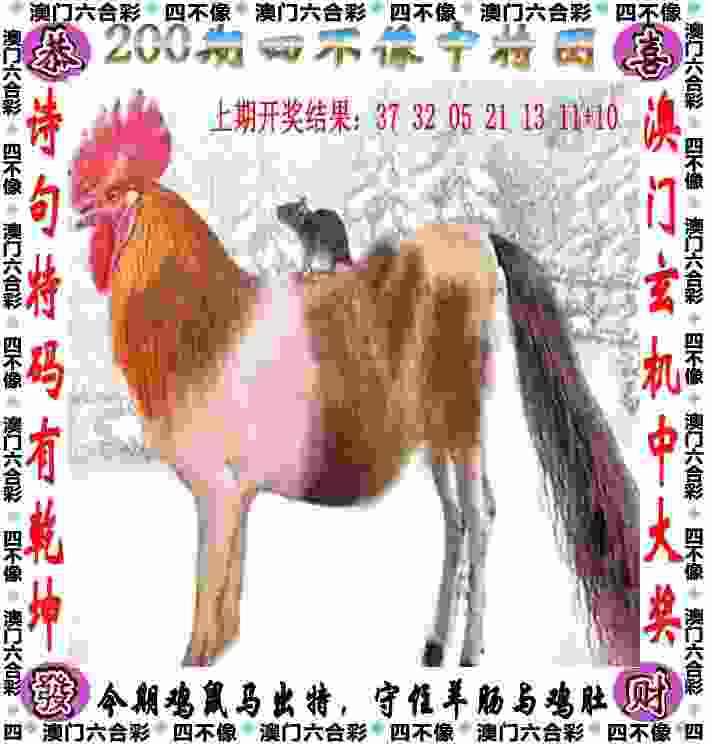 萨米尔·萨乌德当选巴西足协主席